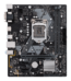 KIT Placa de baza Asus Prime H310M + Intel Core i3-8100